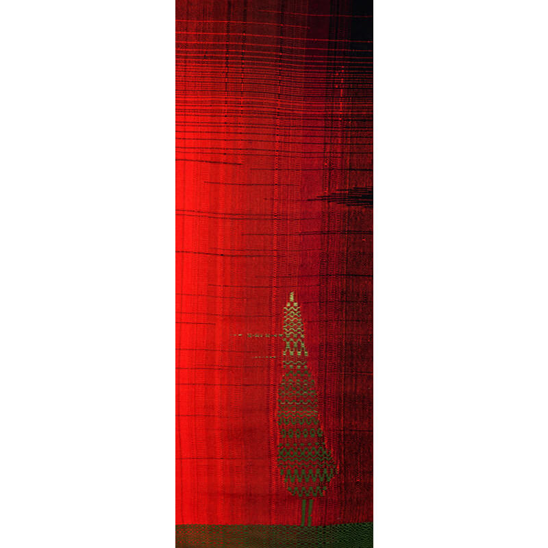 Reflections of cypress trees in still water