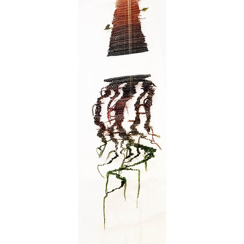 roots