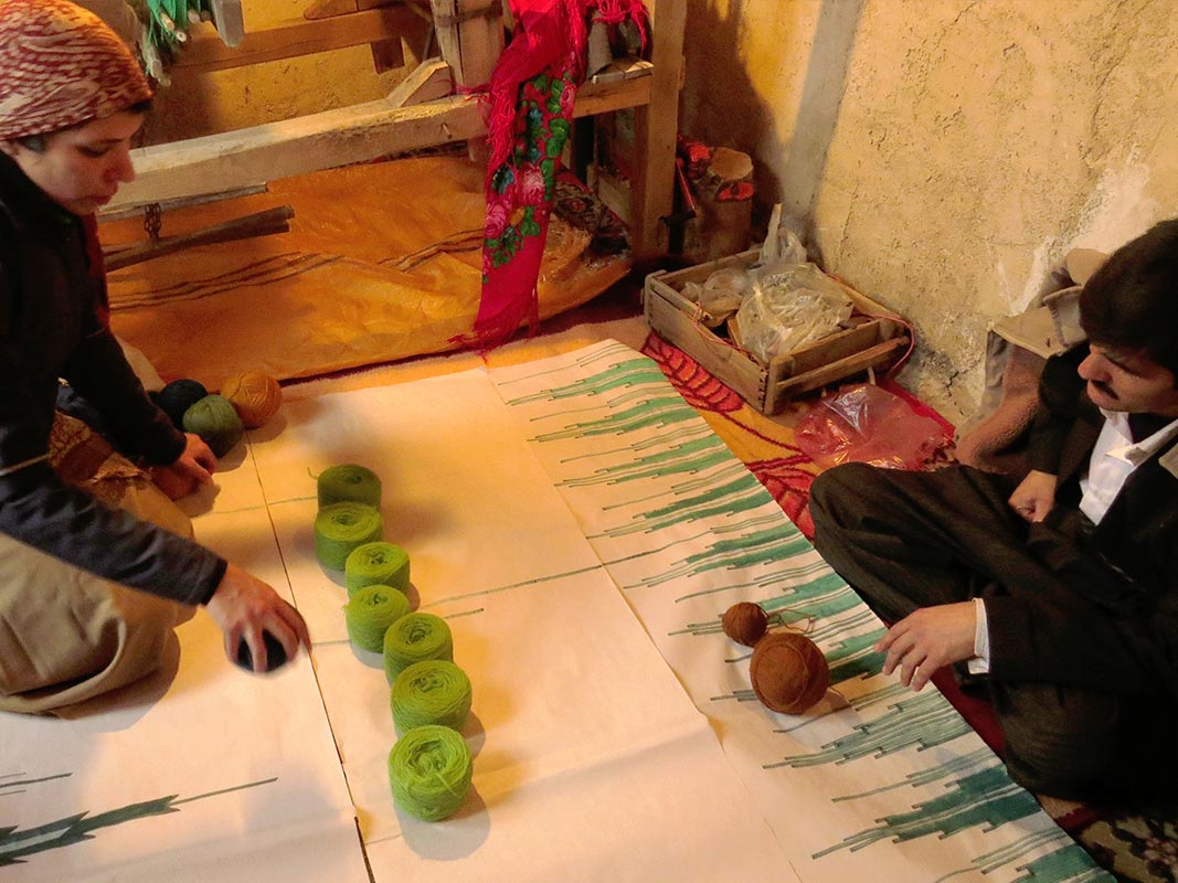 KURDESTAN  DIARY