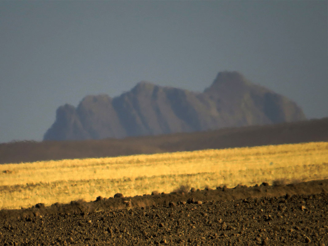 KURDESTAN  DIARY