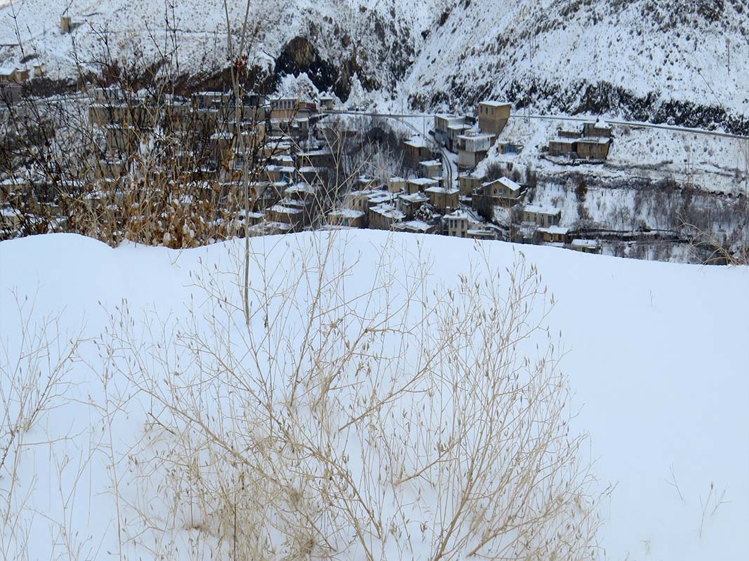 KURDESTAN  DIARY